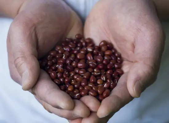 北川製餡所  様